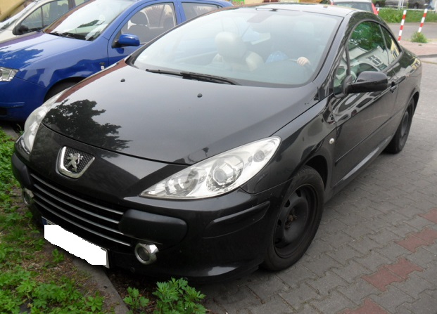 Peugeot 307 (20032004) Gdzie jest VIN